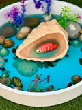 Play shell