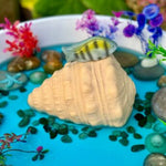 Play shell