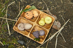 Feast of nature - sensory play set