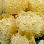 Pack of 5 loofah sponge slices
