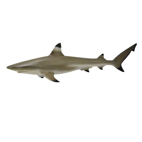 Blacktip reef shark figurine