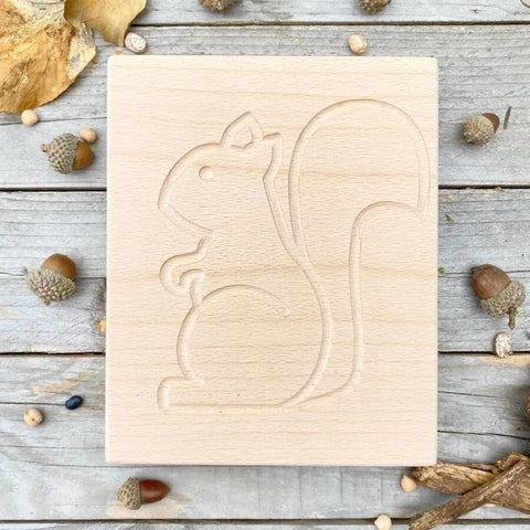 Squirrel sensory board