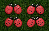 Ladybug counting stones