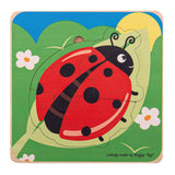 Lifecycle wooden puzzle - ladybird