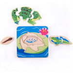 Life cycle layer puzzle - frog