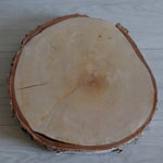 Birch wood slice 25-30cm