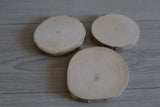 Set of 3 wood slices