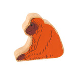 Lanka Kade orangutan
