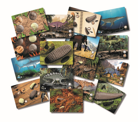 Prehistoric teeth explore and discover activity cards