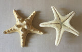 Natural starfish