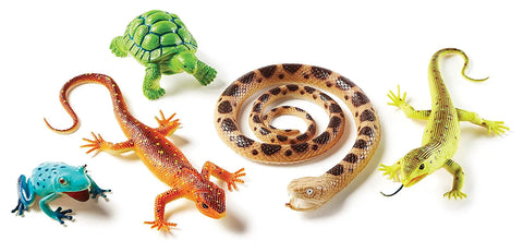 Jumbo reptiles and amphibians
