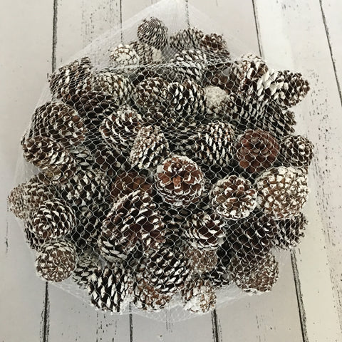 Bag of white tipped pine cones-500g