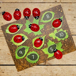 Ladybug number cards