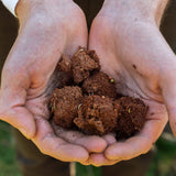 Make your own wildflower meadow seed bombs kit